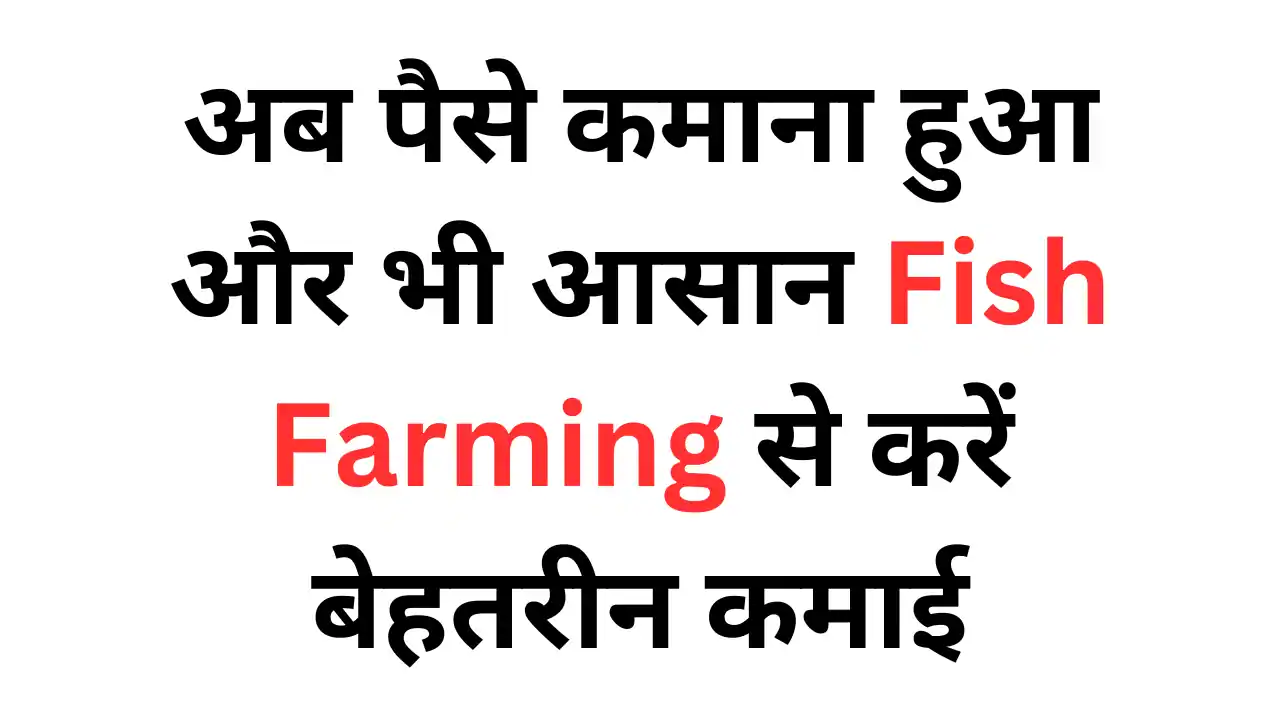 Fish Farming Business Idea